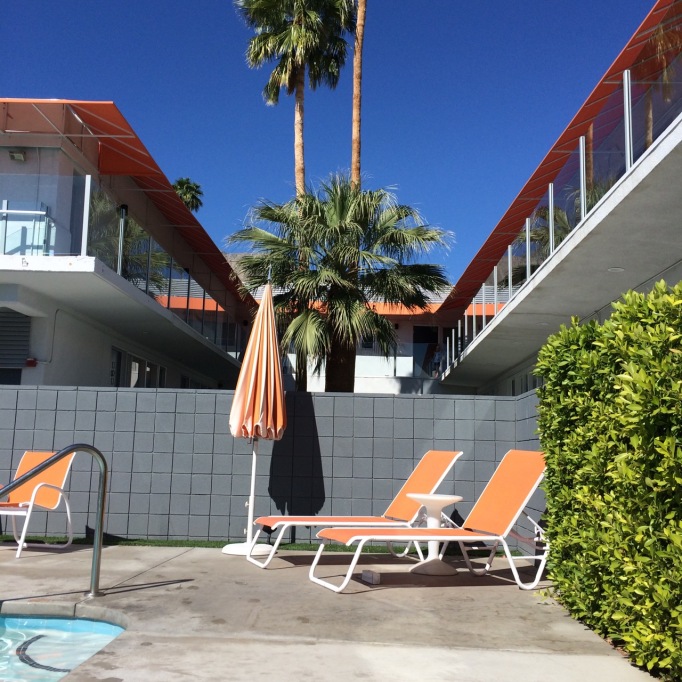 Palm Springs hotel pool palm trees